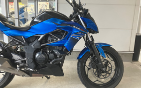KAWASAKI Z250 SL BR250E