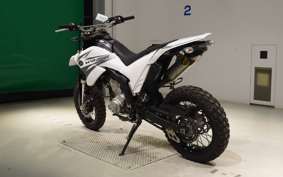YAMAHA WR250X DG15J