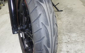 SUZUKI Vｽﾄﾛｰﾑ250A 2025
