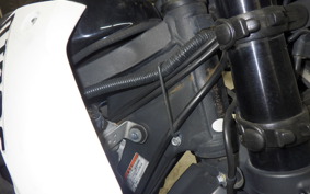 KAWASAKI KLX250D TRACKER X 2023 LX250V