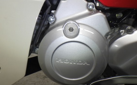 HONDA C110 SUPER CUB 2021