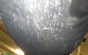 YAMAHA CYGNUS 125 XSR 3 SEA5J