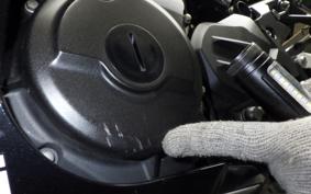 KAWASAKI NINJA 250 2 2021 EX250P