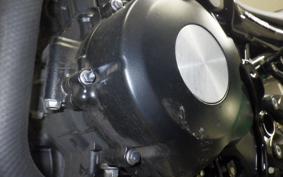 KAWASAKI Z900RS 2019 ZR900C