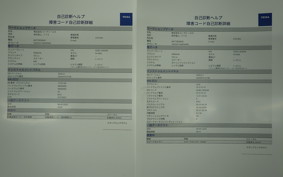 YAMAHA NMAX155-3 SG92J