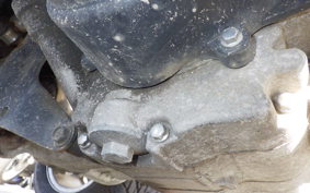 OTHER +UNREGISTERED MODEL by BDS TRIKE