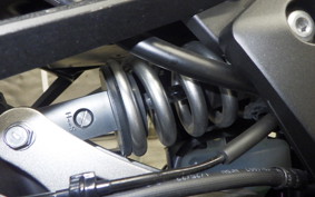 KAWASAKI NINJA 1000SX 2023 ZXT02K