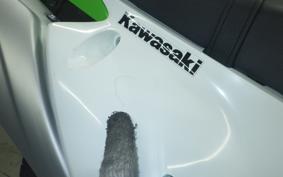 KAWASAKI KLX230 2020 LX230A