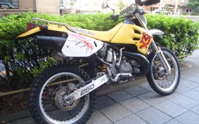 SUZUKI RMX250 S SJ13A