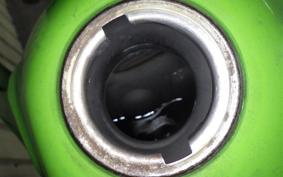 KAWASAKI KDX125 SR 2020 DX125A