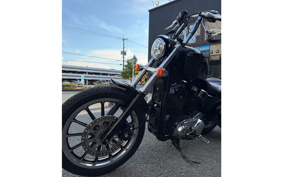 HARLEY XL1200L 2006 CX3