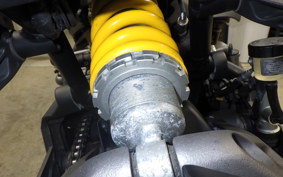 DUCATI MONSTER 821 2020