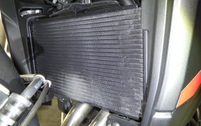 HONDA NX400 2024 NC65