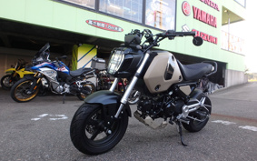 HONDA GROM JC92