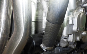 YAMAHA FZ1 FAZER 2009 RN21J