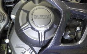 YAMAHA YZF R-3 2025 RH21J