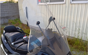 PIAGGIO MP3 250 RL ZAPM47201