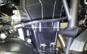 KAWASAKI Z650 RS 2024 ER650R