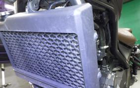 HONDA REBEL 250 S 2006 MC49
