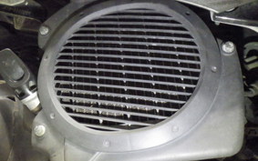 HONDA LEAD 110 2021 JF19
