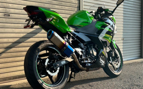 KAWASAKI NINJA 250 EX250P