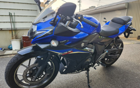 KAWASAKI NINJA ZX-14R 2013 ZXNE14