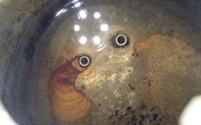 HONDA C50 SUPER CUB 2026 AA01