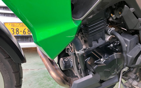 KAWASAKI VERSYS-X 250 ABS LE250D