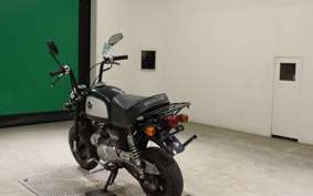 HONDA GORILLA 2024 AB27