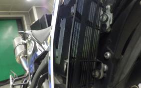 YAMAHA WR250X DG15J