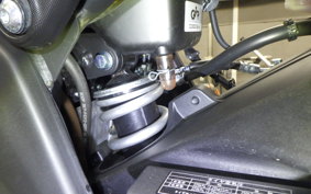 YAMAHA YZF-R15 RG86J