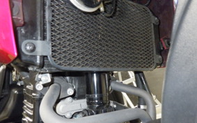 SUZUKI Vｽﾄﾛｰﾑ250A 2011