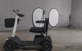 OTHER WIRU MODEL S ..