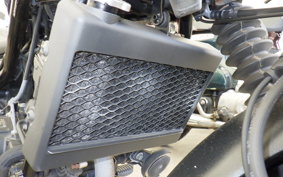 HONDA REBEL 250 A MC49