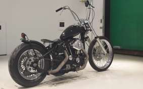 OTHER +UNREGISTERED MODEL by BDS1000 2025