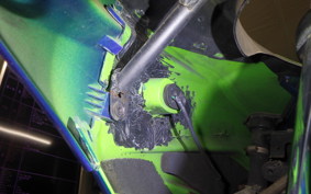 KAWASAKI NINJA 250R 2026 EX250K
