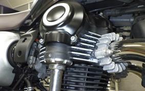 KAWASAKI W800 CAFE 2020 EJ800B