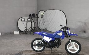 YAMAHA PW50 3PT