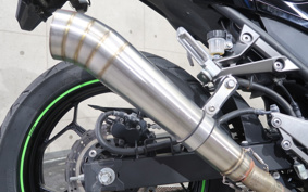 KAWASAKI NINJA 250 EX250L