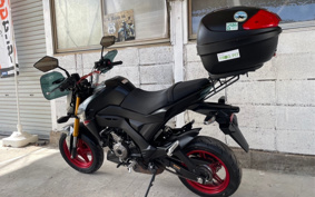 KAWASAKI Z125 PRO BR125H