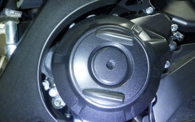 SUZUKI GSX250R 2015