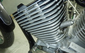 YAMAHA VIRAGO 250 2024 3DM