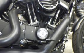 HARLEY XL883N 2020
