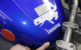 HONDA CBR1100XX 1999