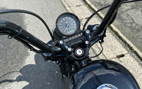 HARLEY XL1200X FINAL ED 2022 LC3