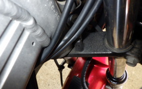 KAWASAKI ZZ-R250 EX250H