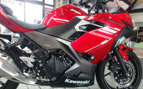 KAWASAKI NINJA 250 EX250P