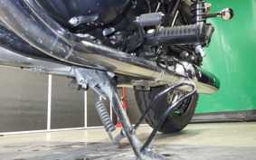 KAWASAKI W800 CAFE 2020 EJ800B