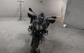 KAWASAKI VERSYS-X 250 TOURER LE250D