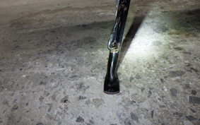 HONDA DAX 125 2010 JB04